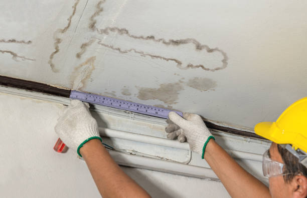 Reliable Burst Pipe Cleanup contractor in Gardner, KS by Water Damage Irwin